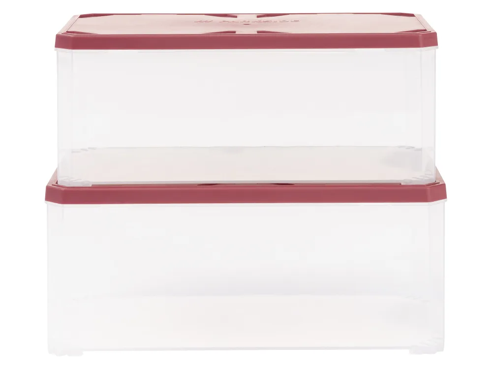 PARKSIDE® Box na malé súčiastky L, 2 kusy