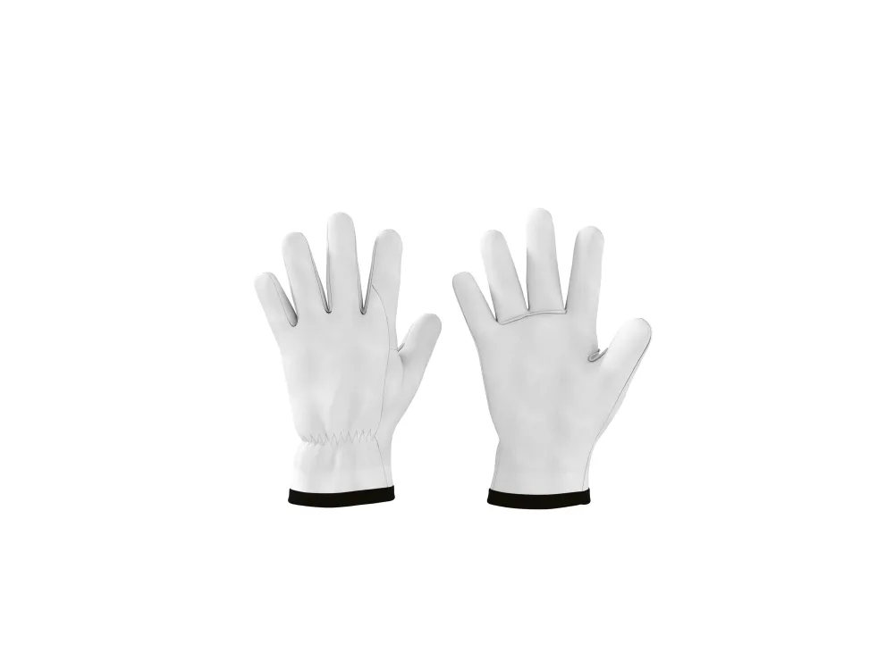 PARKSIDE PERFORMANCE® Kožené záhradné rukavice (10)